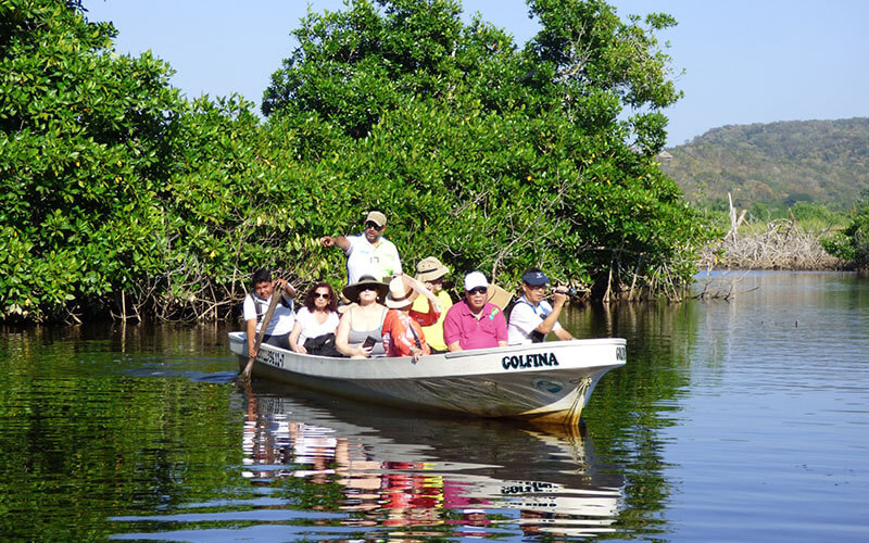 Costa Rica Gurus Crocodile River Safari